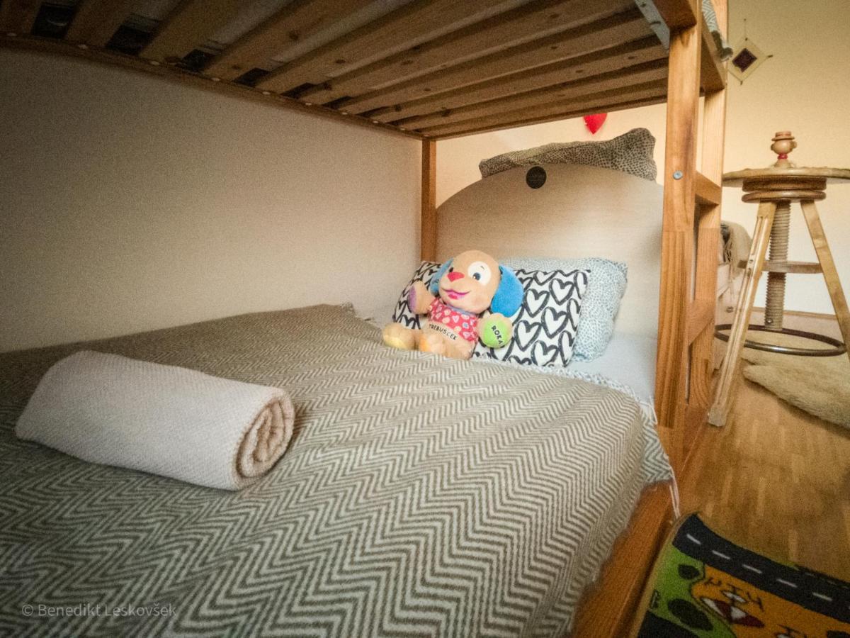 Panorama Glamping Visole Hotel Словенска Бистрица Екстериор снимка